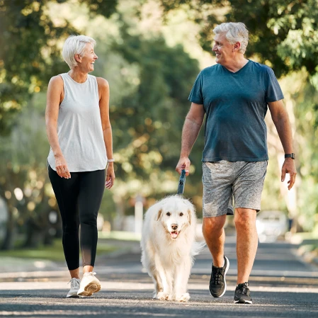 Two people walking a white dog